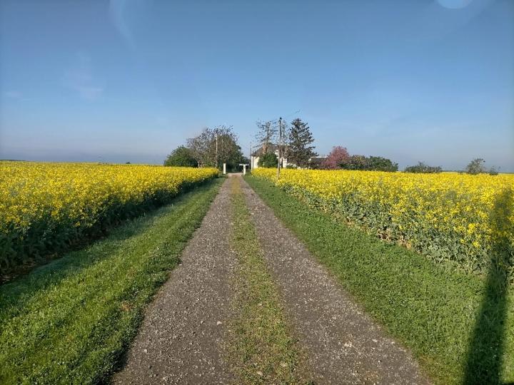 Studio " Tournesol " Au Coeur Du Berry Les Bordes Экстерьер фото